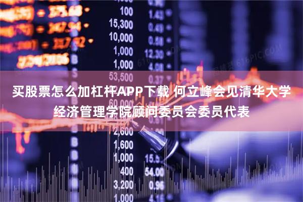 买股票怎么加杠杆APP下载 何立峰会见清华大学经济管理学院顾问委员会委员代表