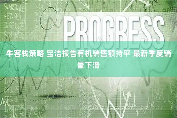 牛客栈策略 宝洁报告有机销售额持平 最新季度销量下滑