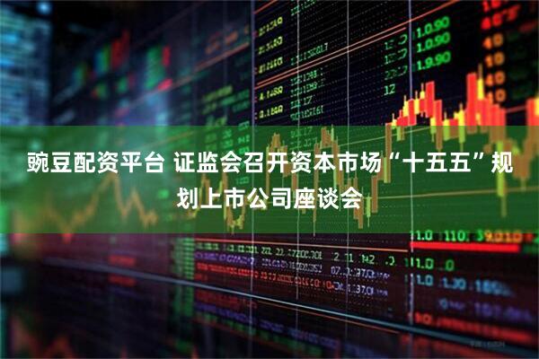 豌豆配资平台 证监会召开资本市场“十五五”规划上市公司座谈会